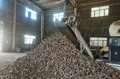 新疆巩留 多举措赋能绿色高质量发展，助力生物质燃料加工产业升级