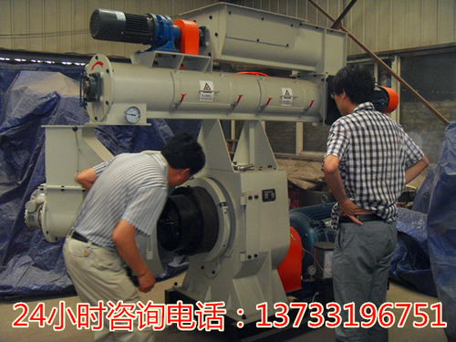 广东江门饲料颗粒成型机价格解析与生物质燃料加工应用
