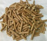 绿色能源新势力 漳州生物质颗粒燃料生产厂引领优质燃料加工