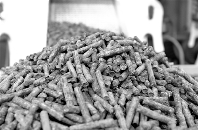 绿色能源新突破 全国最大甘蔗渣生物质燃料项目在湛江投产