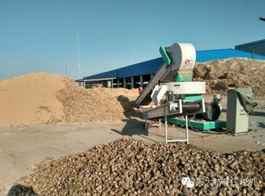 河北天太恭祝黑龙江省农林废弃物综合利用技术设备展示交流会圆满成功，共绘生物质燃料加工产业新蓝图